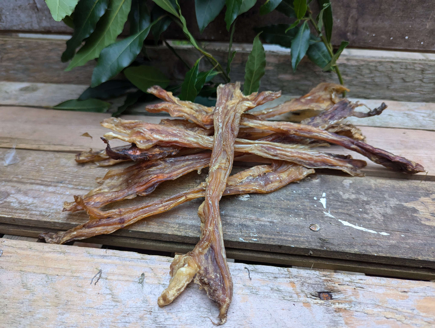Beef Tendons