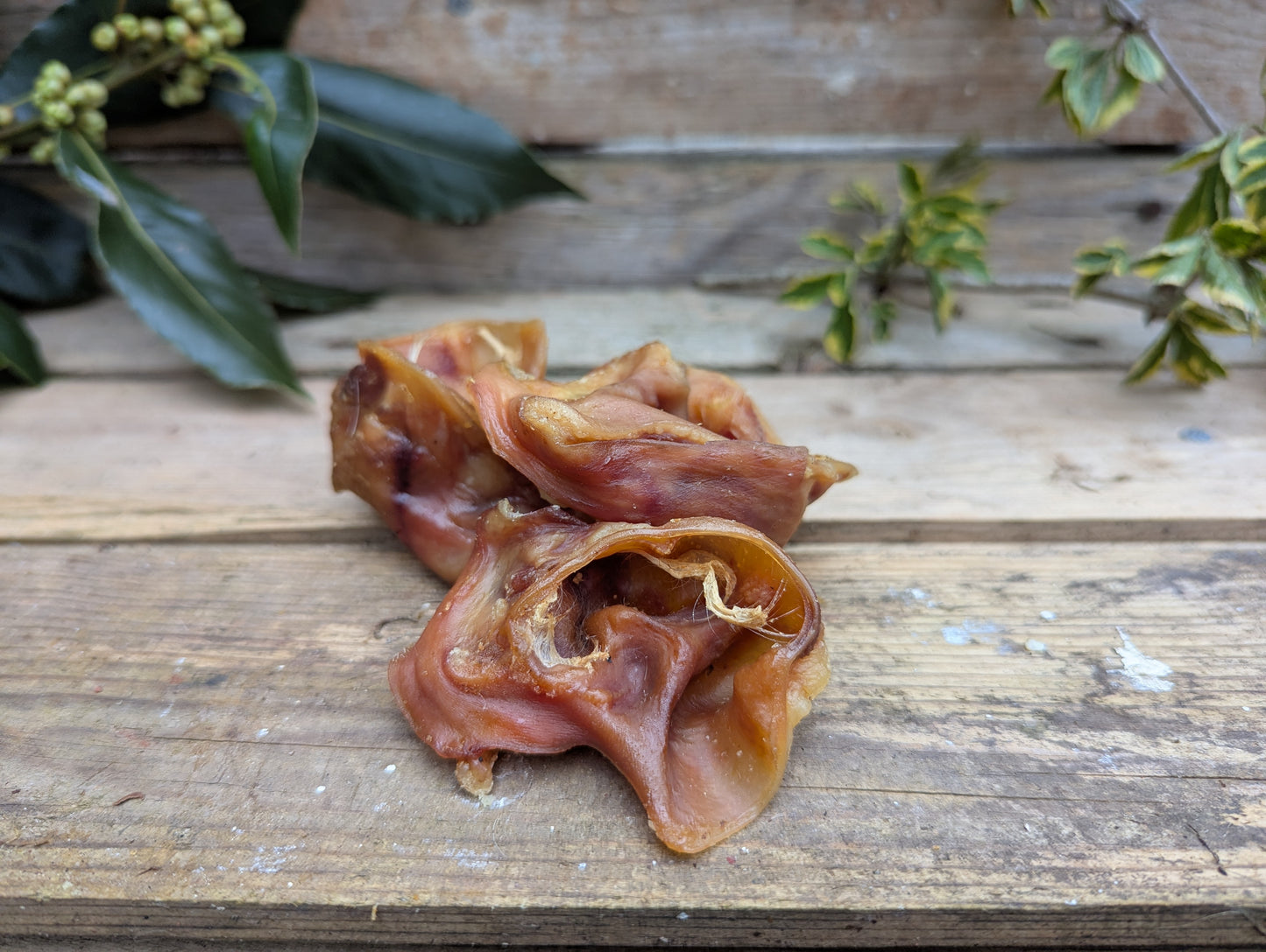 Pork Bites