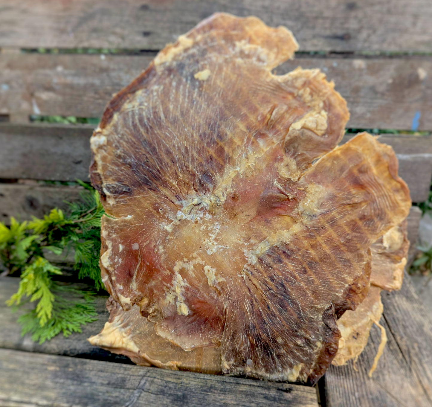 Pork Stomach