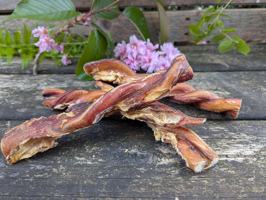 Twisted Bull Pizzle