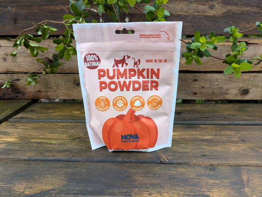 Pumpkin Powder 200g