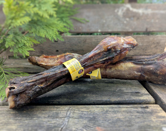Dried Horse Leg