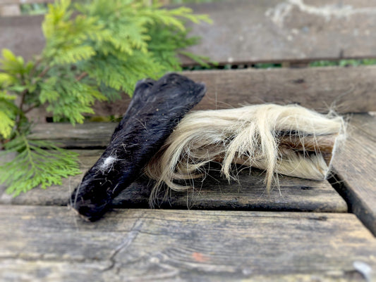 Horse Skin with Fur